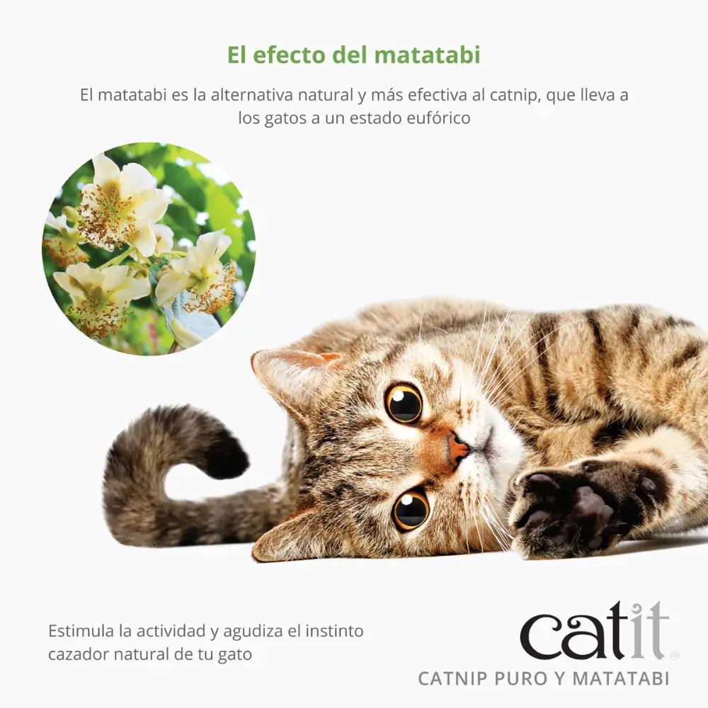 Catit Mezcla de Catnip y Matatabi Secos 28 g - Image 4