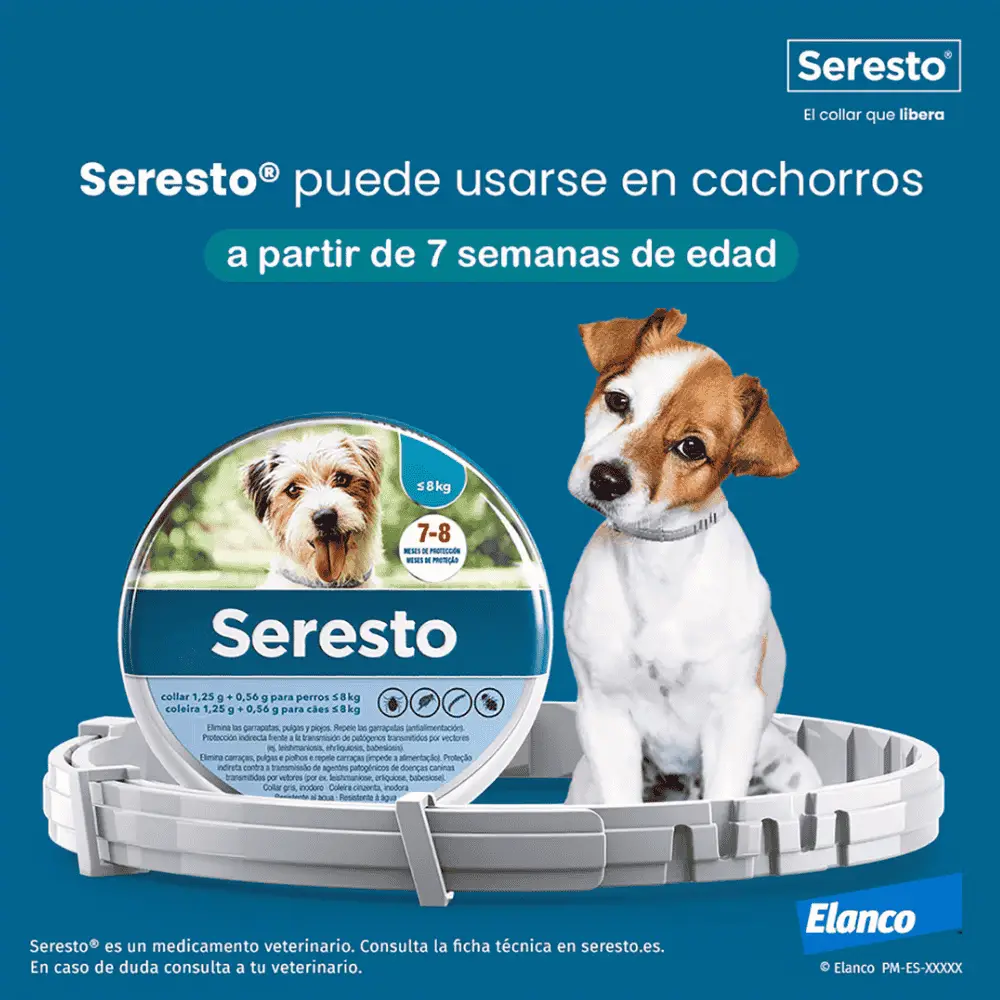 Seresto Collar Antiparasitario para Perros Protección contra Pulgas, Garrapatas, Piojos y Mosquito - Image 6