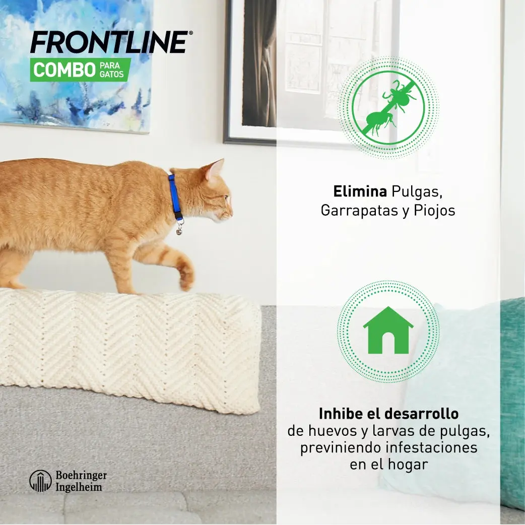 Frontline® Combo Antiparasitario Spot On para Gatos 3 Pipetas - Image 4