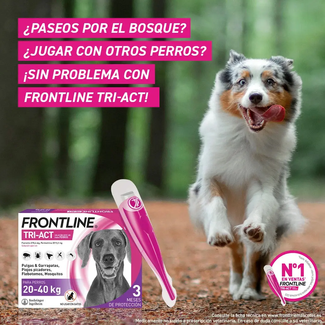 Frontline Tri-Act Pack 3 Pipetas Antiparasitarias para Perros - Image 10