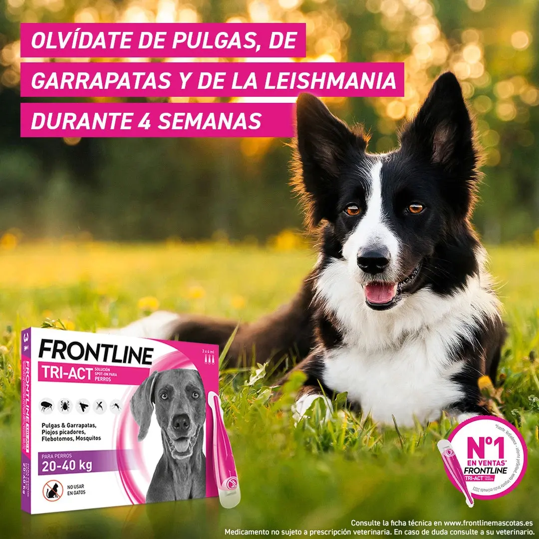 Frontline Tri-Act Pack 3 Pipetas Antiparasitarias para Perros - Image 3