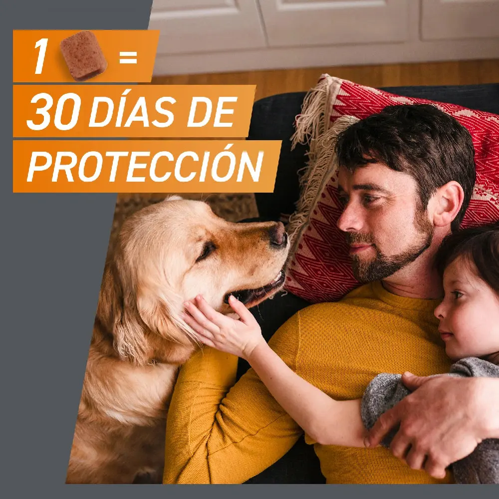 Frontpro Comprimidos Masticables Antiparasitarios para Perros 3 uds. - Image 13
