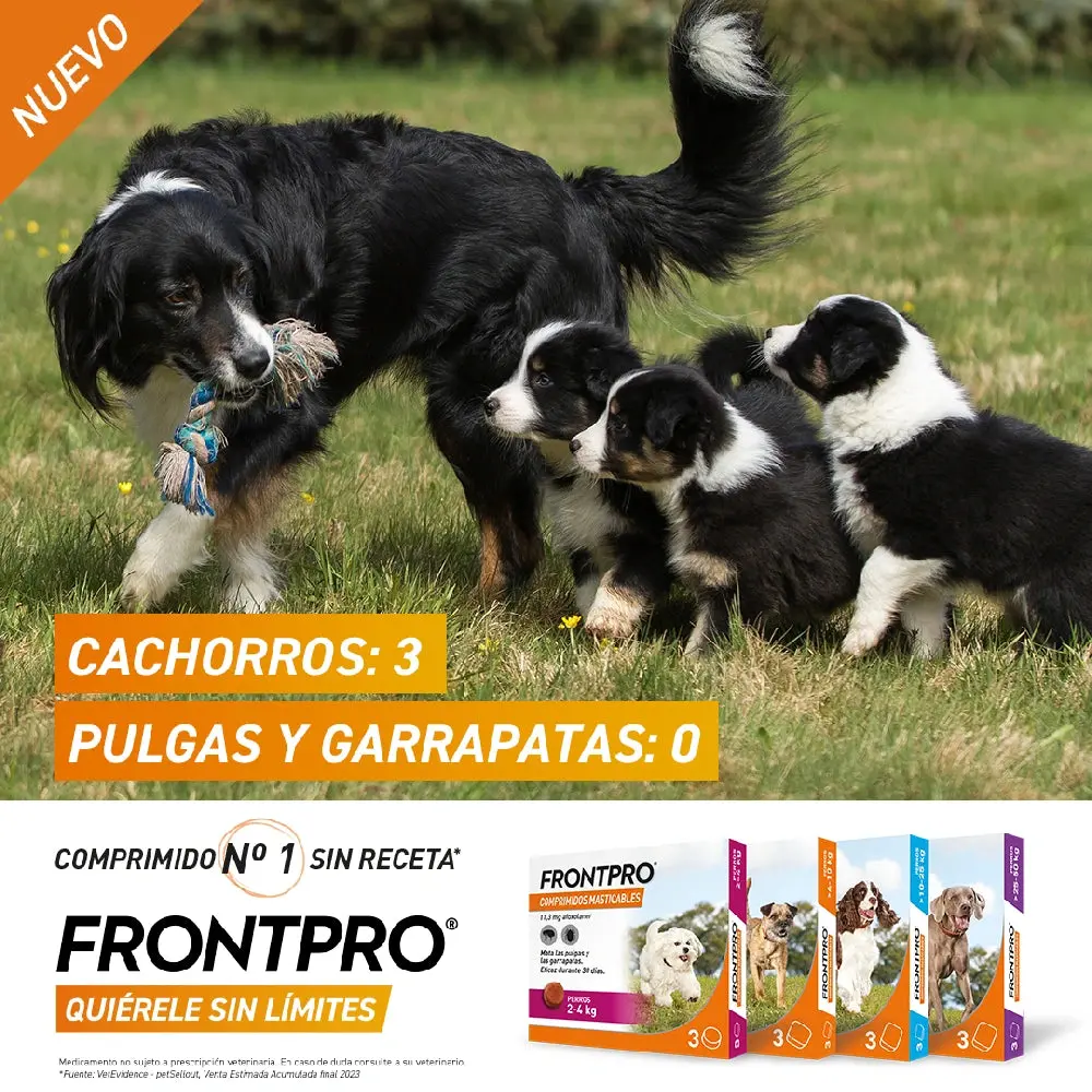 Frontpro Comprimidos Masticables Antiparasitarios para Perros 3 uds. - Image 4