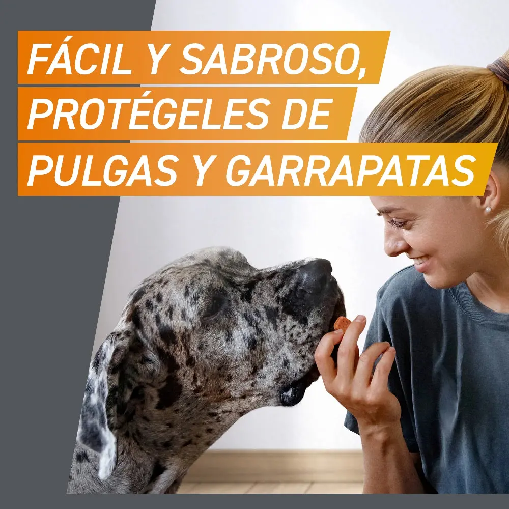 Frontpro Comprimidos Masticables Antiparasitarios para Perros 3 uds. - Image 8