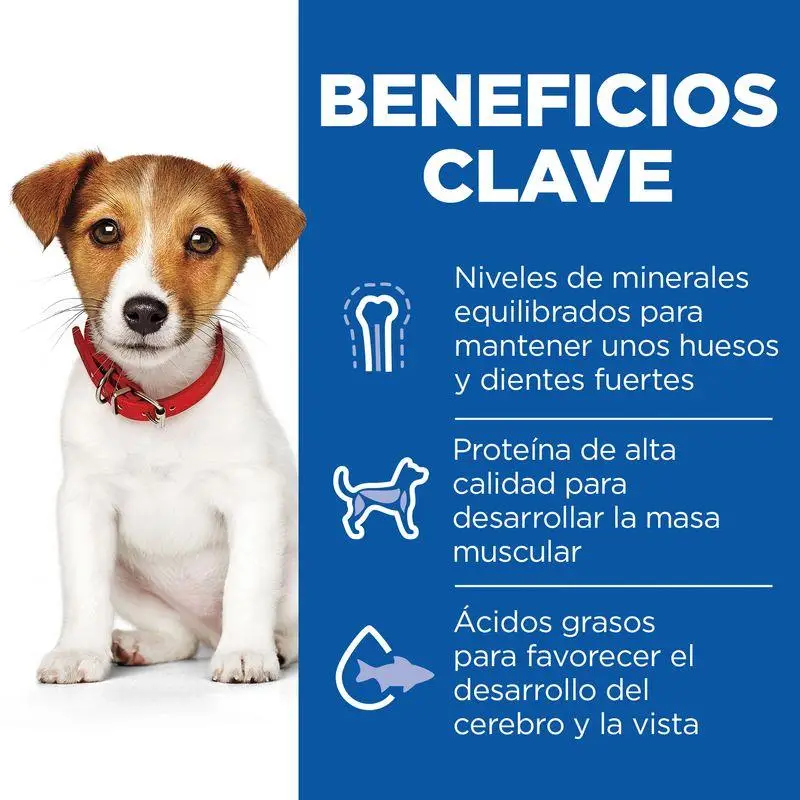 Hill'S Science Plan Adult Small y Mini Cordero y Arroz 1,5 kg Alimento para Perros - Image 3