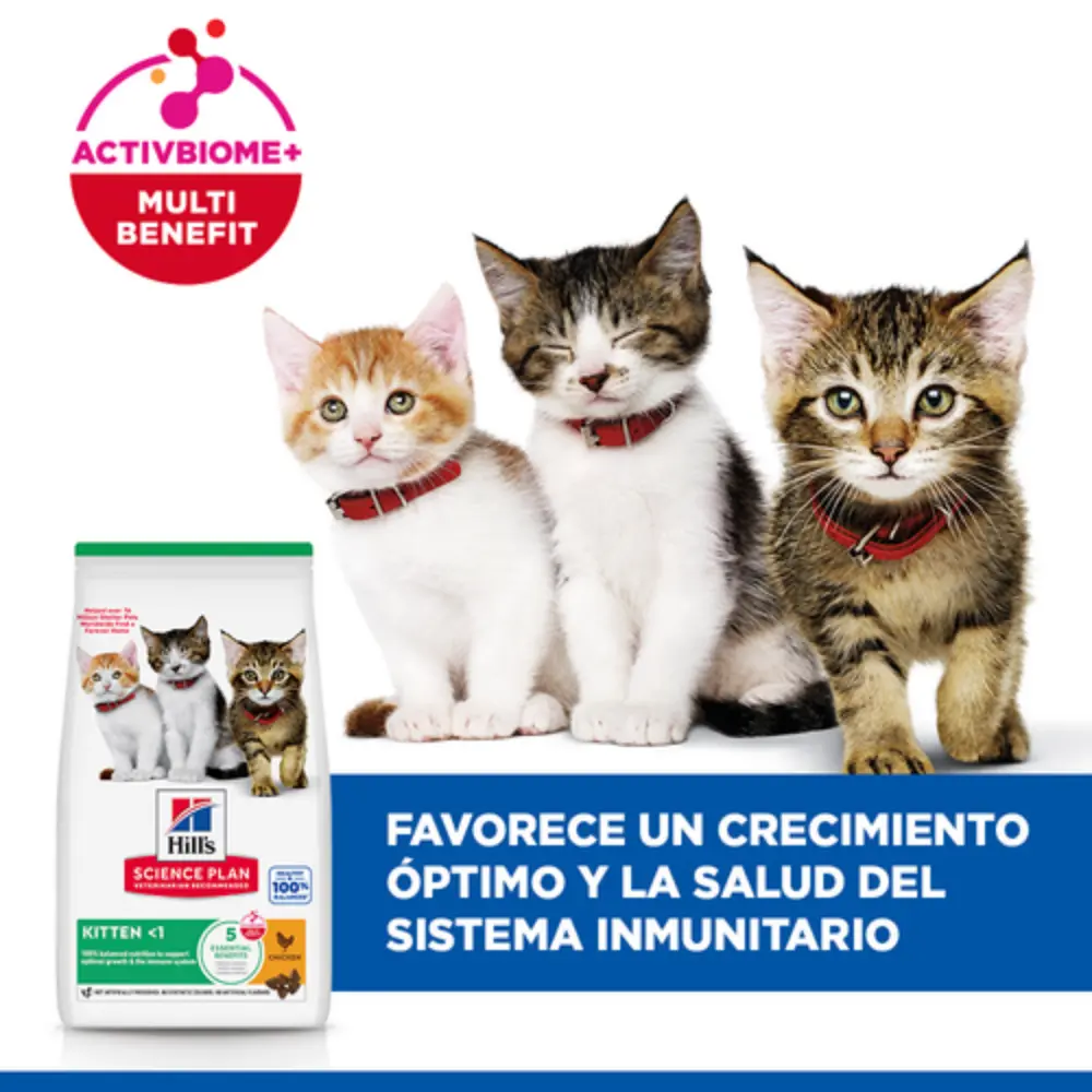 Hill'S Science Plan Kitten Pollo 300 g Alimento para Gatos - Image 4