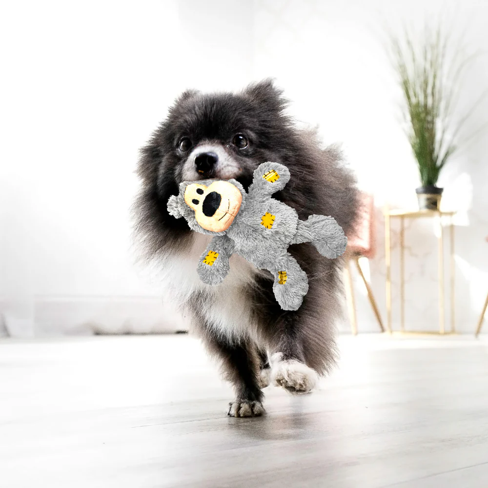 Kong Juguete Perro Oso Xs - Image 5