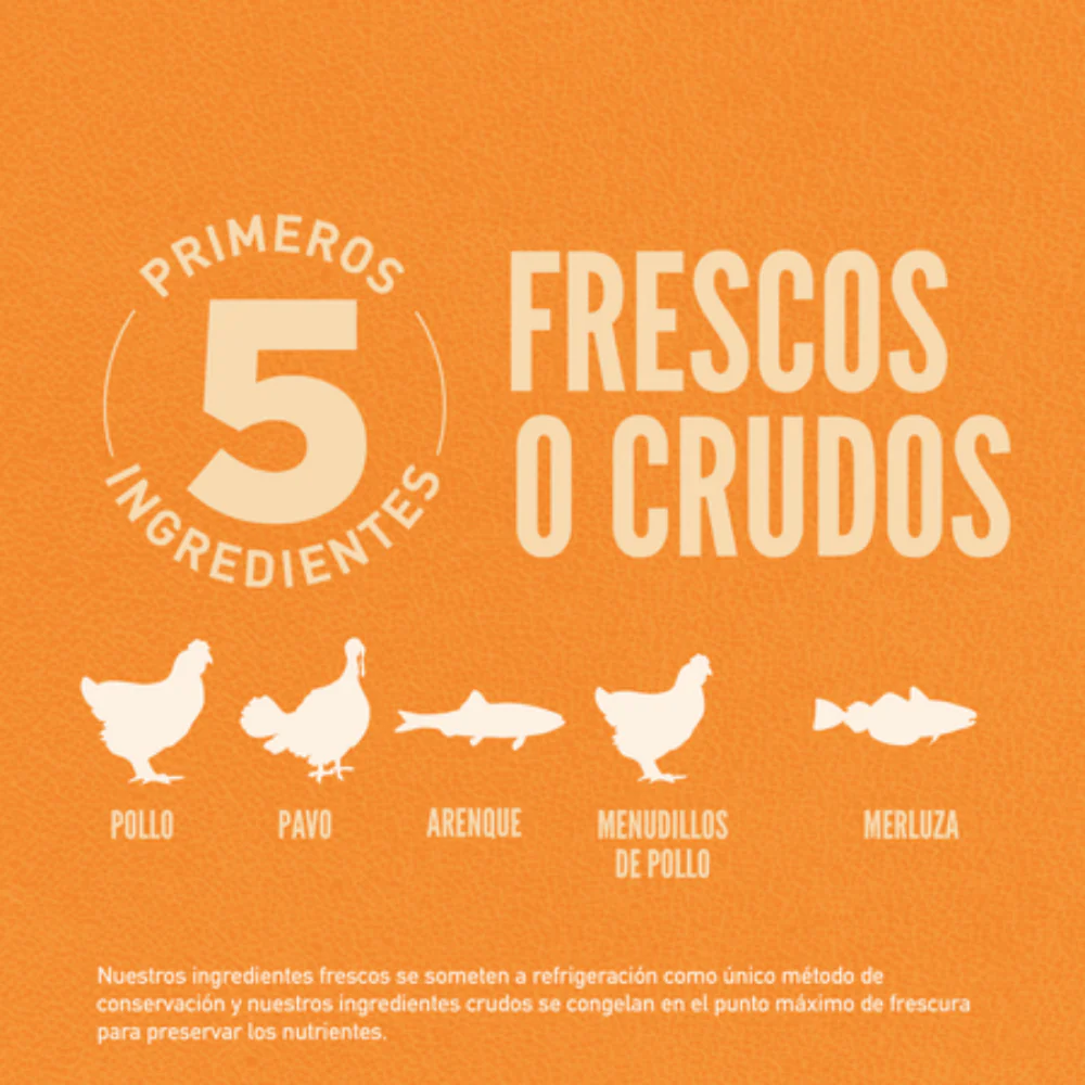 Orijen Cat Original - Image 4