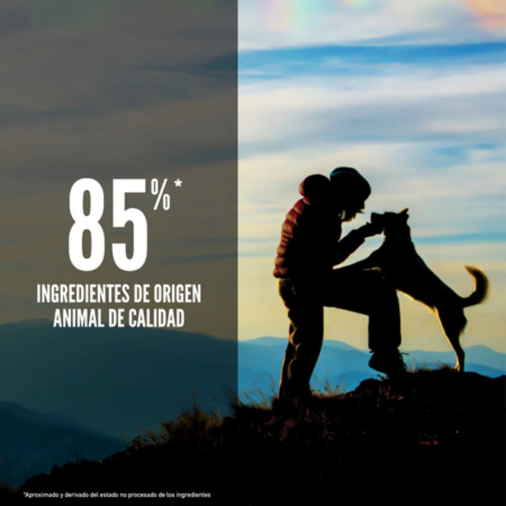 Orijen Dog Original - Image 3