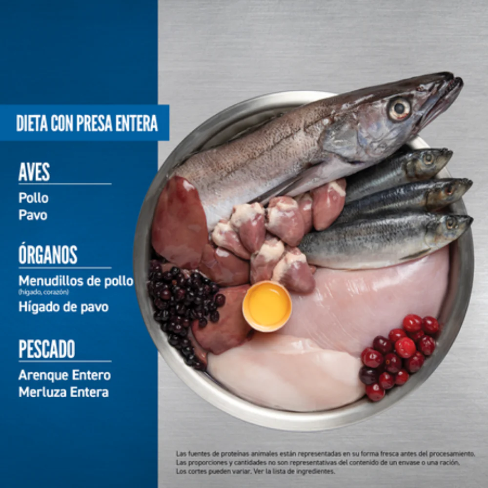 Orijen Dog Original - Image 5