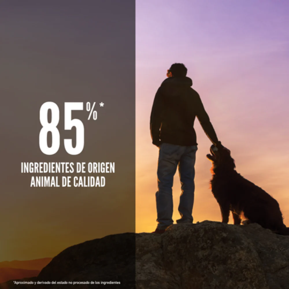 Orijen Dog Regional Red - Image 3