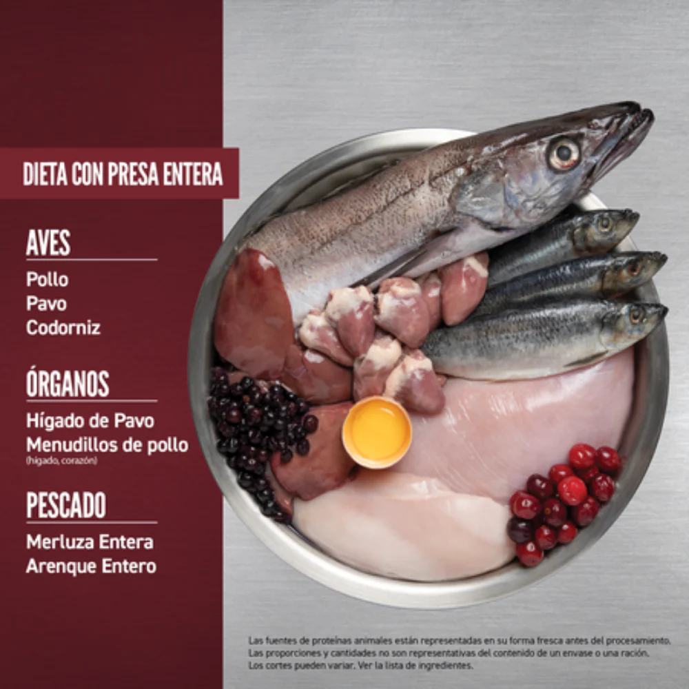 Orijen Dog Regional Red - Image 5