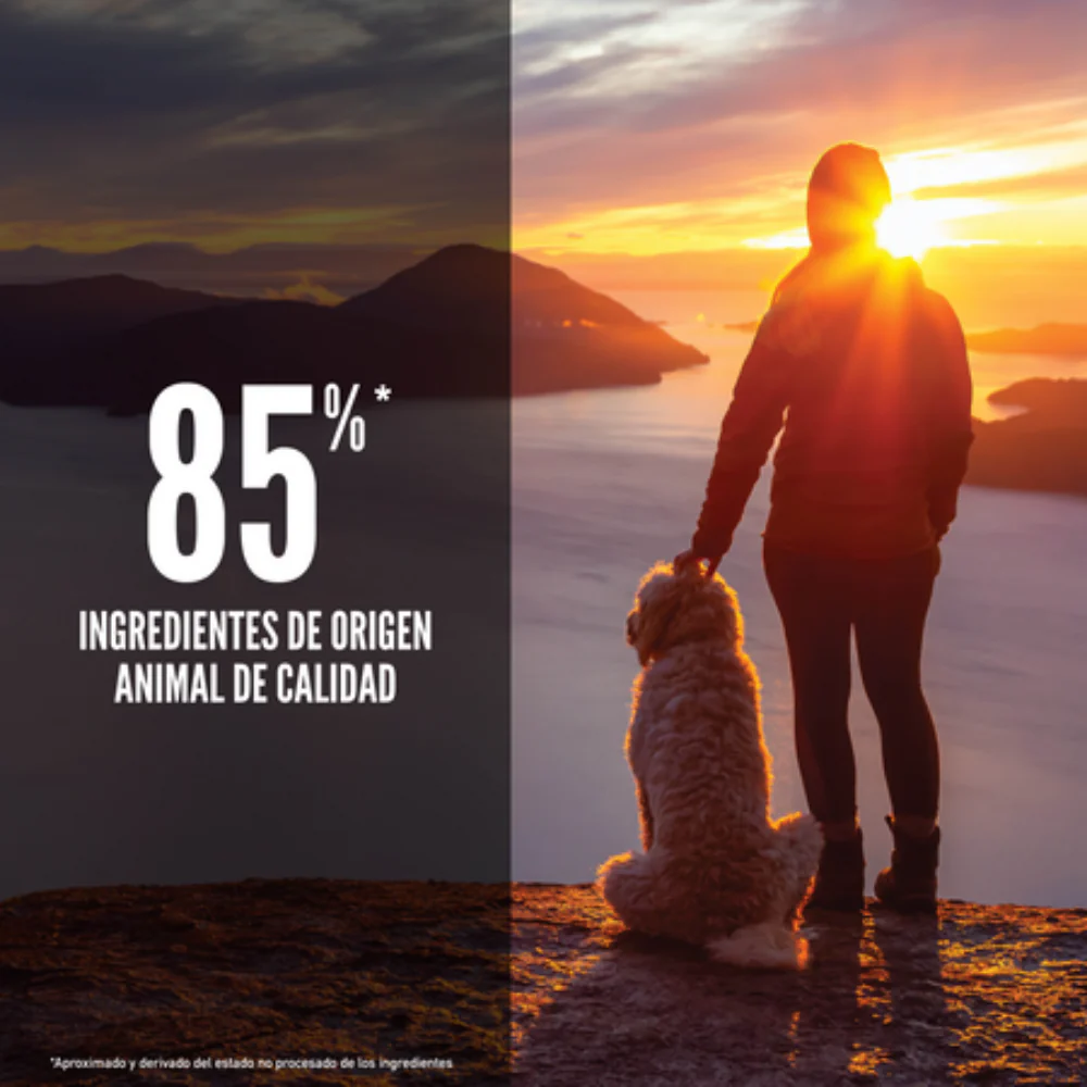 Orijen Dog Senior - Image 3