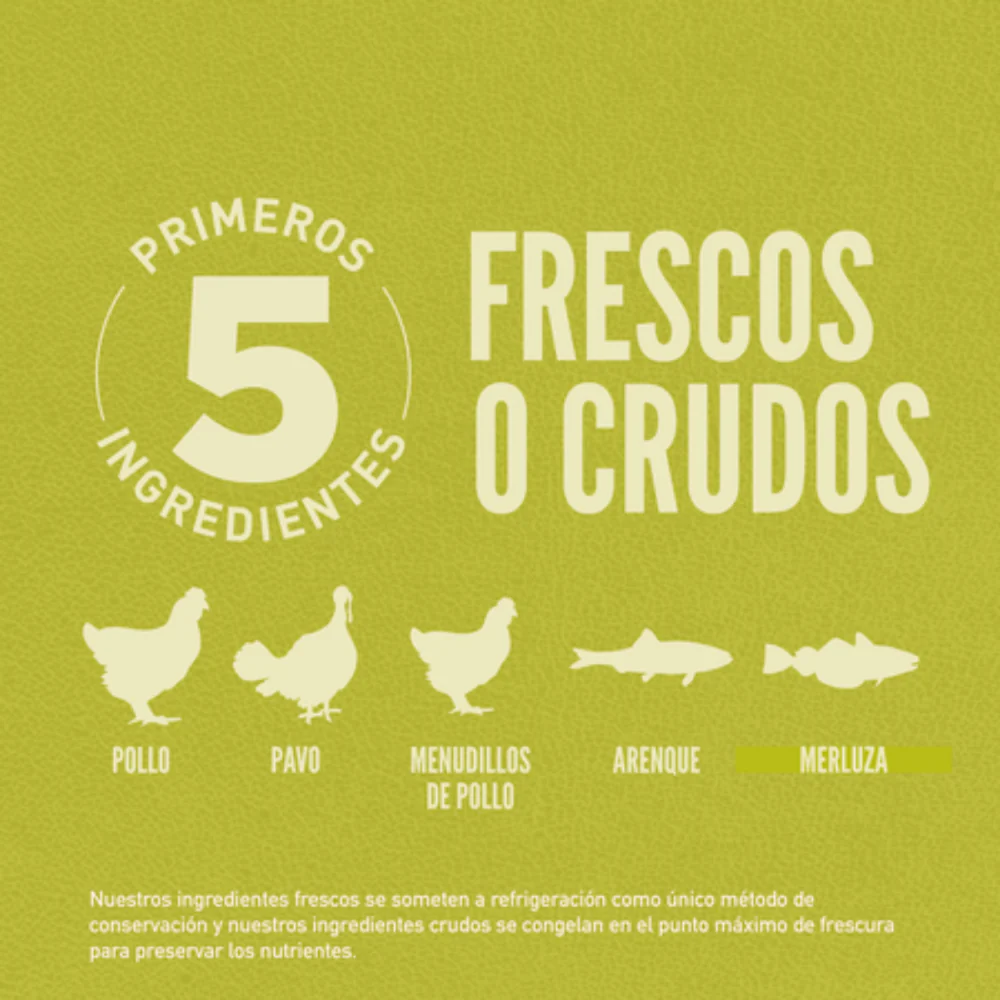 Orijen Dog Senior - Image 4