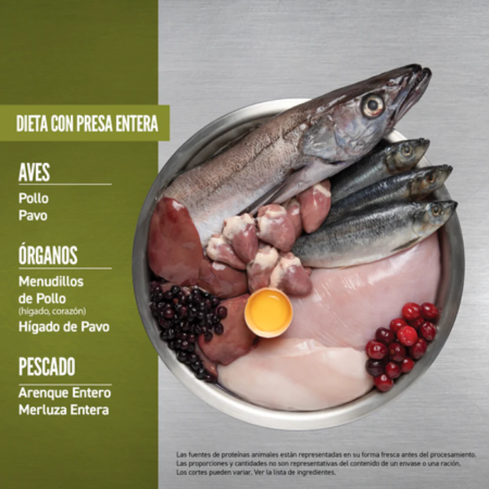 Orijen Dog Senior - Image 5