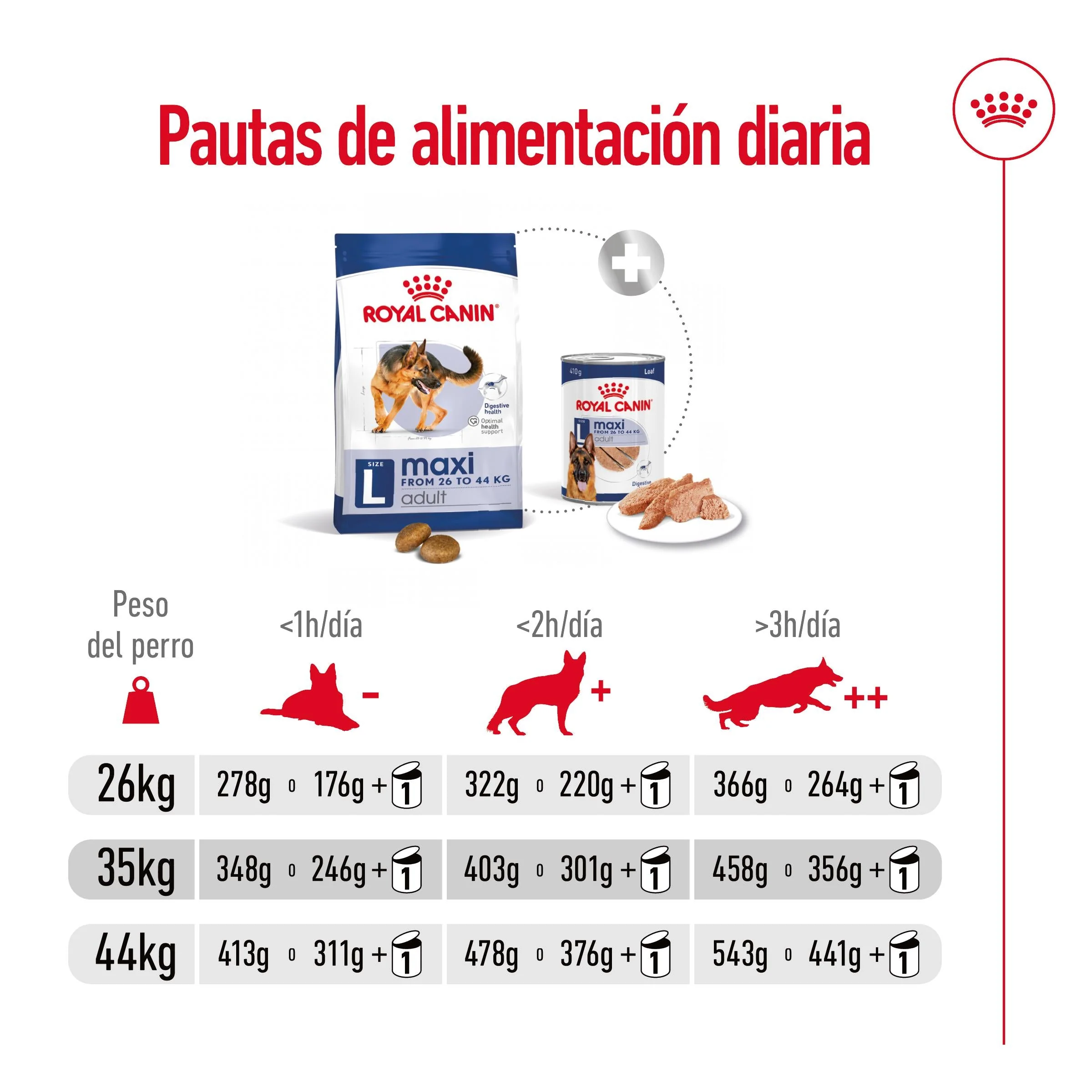 Royal Canin Maxi Adult Pienso para Perros - Image 8