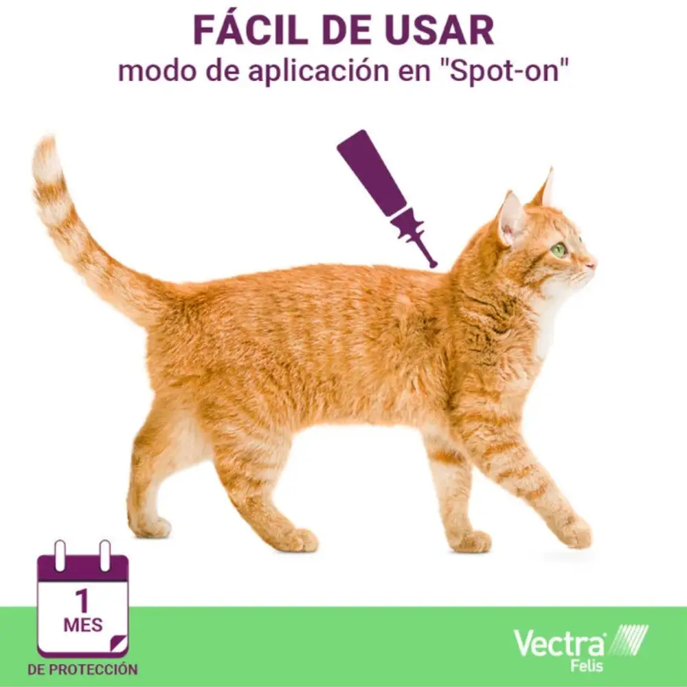 Vectra Felis Pipetas Antiparasitarias para Gatos - Image 6