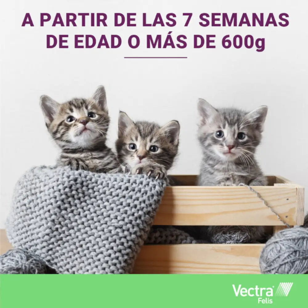 Vectra Felis Pipetas Antiparasitarias para Gatos - Image 8